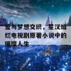 爱与梦想交织，星汉灿烂电视剧原著小说中的璀璨人生