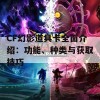 CF幻影道具卡全面介绍：功能、种类与获取技巧