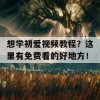 想学初爱视频教程？这里有免费看的好地方！