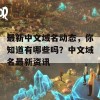 最新中文域名动态，你知道有哪些吗？中文域名最新资讯