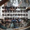 明星的发泄室NPH揭秘情感宣泄的秘密空间与心理治疗的奇妙结合，聊聊明星们的秘密放松室和心灵疗愈！