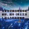 五星孙坚最佳阵容搭配解析，提升《率土之滨》战斗力的关键策略