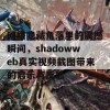 网络隐藏角落里的震撼瞬间，shadowweb真实视频截图带来的启示与反思