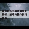 吸血姬小小黑阵容搭配解析：策略与操作技巧指南