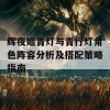 辉夜姬青灯与青行灯角色阵容分析及搭配策略指南