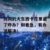 狗狗的大东西卡在里面了咋办？别着急，有办法解决！