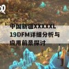 中国新疆XXXXXL19DFM详细分析与应用前景探讨