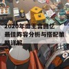 2020年血王宫回忆最佳阵容分析与搭配策略详解