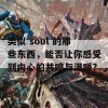 类似 soul 的那些东西，能否让你感受到内心的共鸣与温暖？