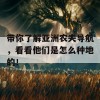 带你了解亚洲农夫导航，看看他们是怎么种地的！