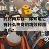 药材肉苁蓉：你知道它有什么神奇的功效和用途吗？