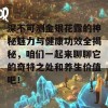 深不可测金银花露的神秘魅力与健康功效全揭秘，咱们一起来聊聊它的奇特之处和养生价值吧！