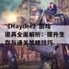 《Haydee》游戏道具全面解析：提升生存与通关策略技巧