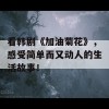 看韩剧《加油菊花》，感受简单而又动人的生活故事！