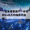 一起来看看国产一级无码Va毛片的精彩内容吧！