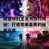 调音师的艺术与技巧揭秘：打造完美音质的秘密分享