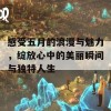 感受五月的浪漫与魅力，绽放心中的美丽瞬间与独特人生