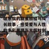 啵乐腐的甜蜜旅程与成长故事，感受爱与人性的多彩展现与光辉时刻