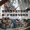 牧场物语中诅咒道具详解：矿场探索与获取技巧解析