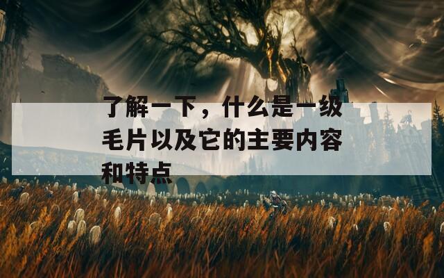 了解一下，什么是一级毛片以及它的主要内容和特点