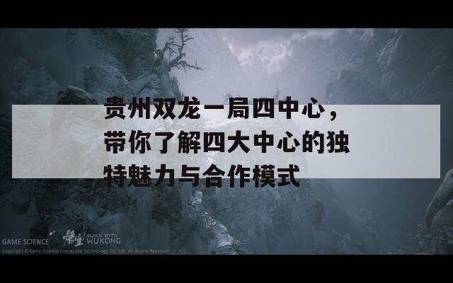 贵州双龙一局四中心，带你了解四大中心的独特魅力与合作模式