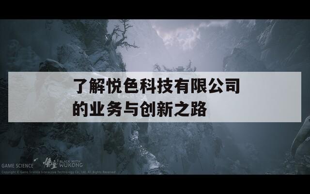 了解悦色科技有限公司的业务与创新之路