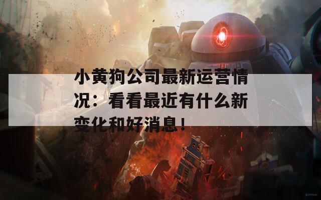 小黄狗公司最新运营情况：看看最近有什么新变化和好消息！