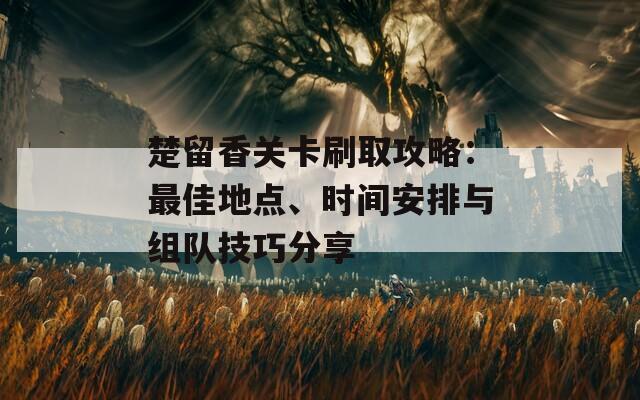 楚留香关卡刷取攻略：最佳地点、时间安排与组队技巧分享