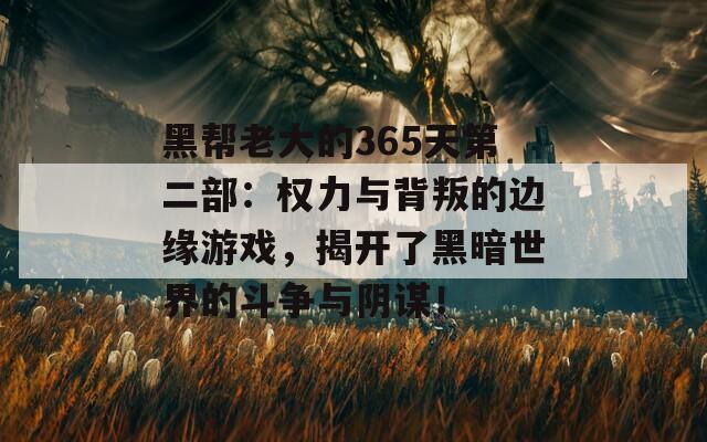 黑帮老大的365天第二部：权力与背叛的边缘游戏，揭开了黑暗世界的斗争与阴谋！