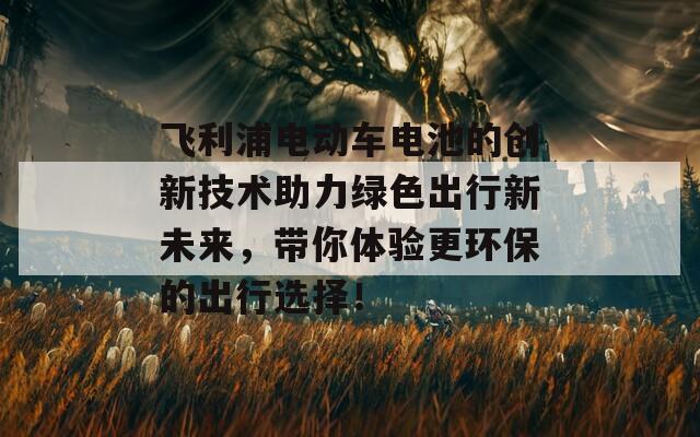 飞利浦电动车电池的创新技术助力绿色出行新未来，带你体验更环保的出行选择！