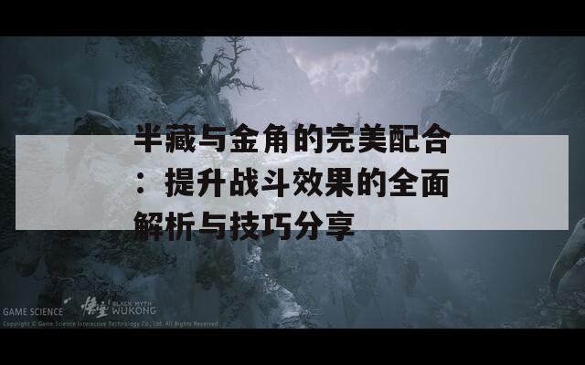 半藏与金角的完美配合：提升战斗效果的全面解析与技巧分享