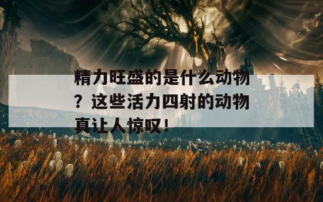 精力旺盛的是什么动物？这些活力四射的动物真让人惊叹！