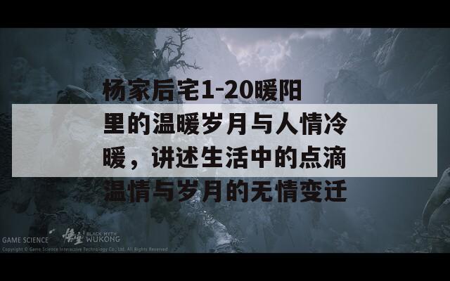 杨家后宅1-20暖阳里的温暖岁月与人情冷暖，讲述生活中的点滴温情与岁月的无情变迁