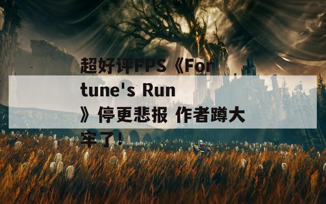 超好评FPS《Fortune's Run》停更悲报 作者蹲大牢了！