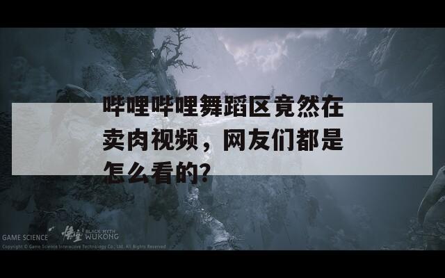 哔哩哔哩舞蹈区竟然在卖肉视频，网友们都是怎么看的？