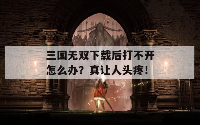 三国无双下载后打不开怎么办？真让人头疼！