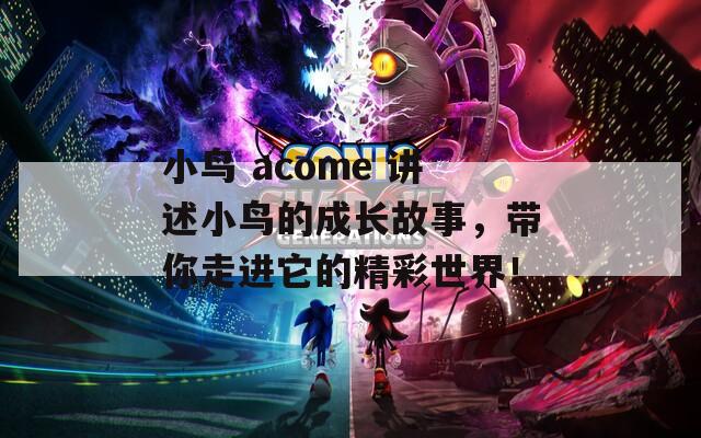 小鸟 acome 讲述小鸟的成长故事，带你走进它的精彩世界！